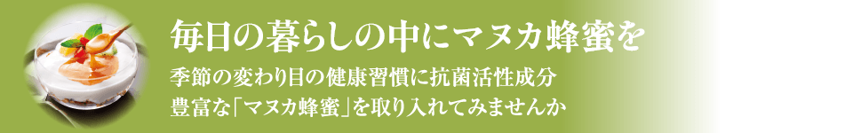 人気の定番商品