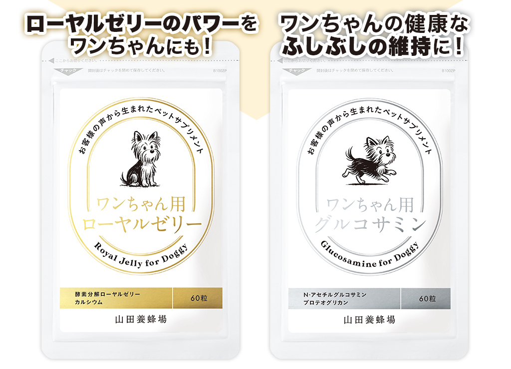 ���[�����[���[�̃p���[�����������ɂ��I ���������̌��N�Ȃӂ��Ԃ��̈ێ��ɁI