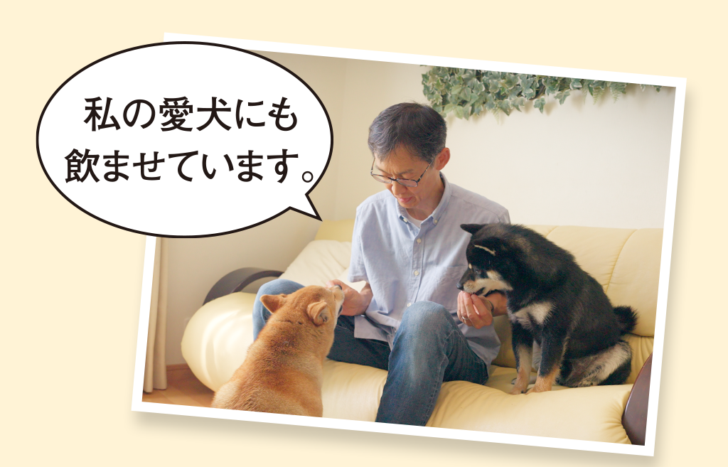 ���̈����ɂ����܂��Ă��܂��B