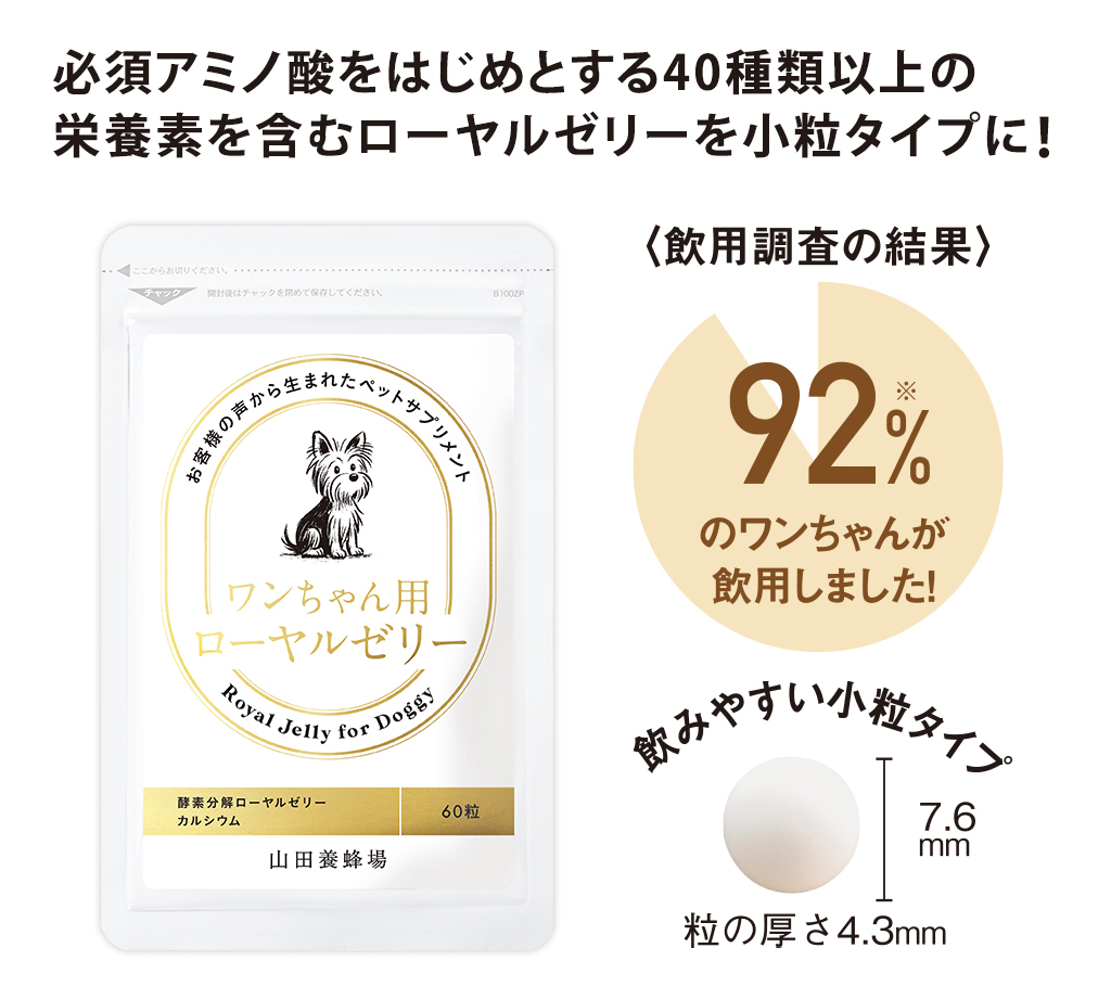 �K�{�A�~�m�_���͂��߂Ƃ���40��ވȏ�̉h�{�f���܂ރ��[�����[���[�������^�C�v�ɁI