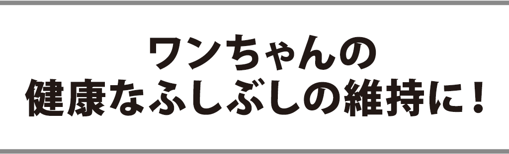 ���������̌��N�Ȃӂ��Ԃ��̈ێ��ɁI