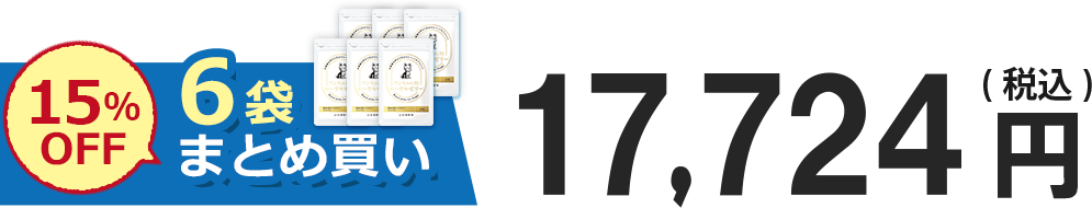 15%OFF 6܂܂Ƃߔ 17,724~(ō)