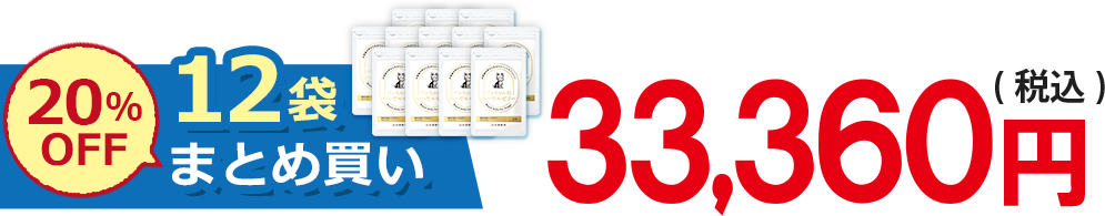 20%OFF 12܂܂Ƃߔ 33,360~(ō)