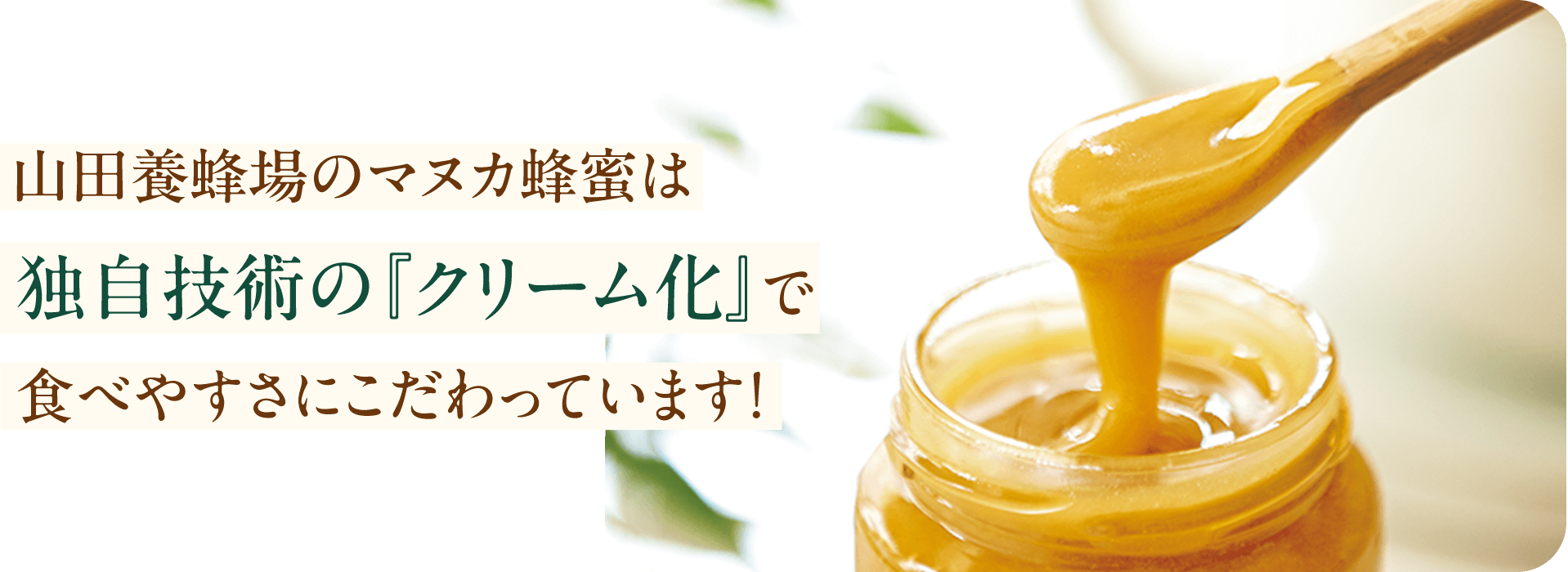 Rc{Ĩ}kJI͓ƎZṕwN[xŐHׂ₷ɂĂ܂!