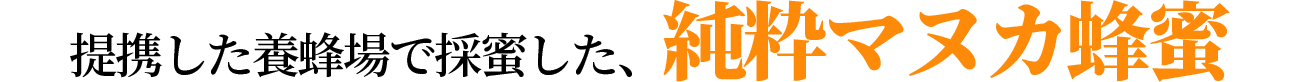 g{Iō̖A}kJI