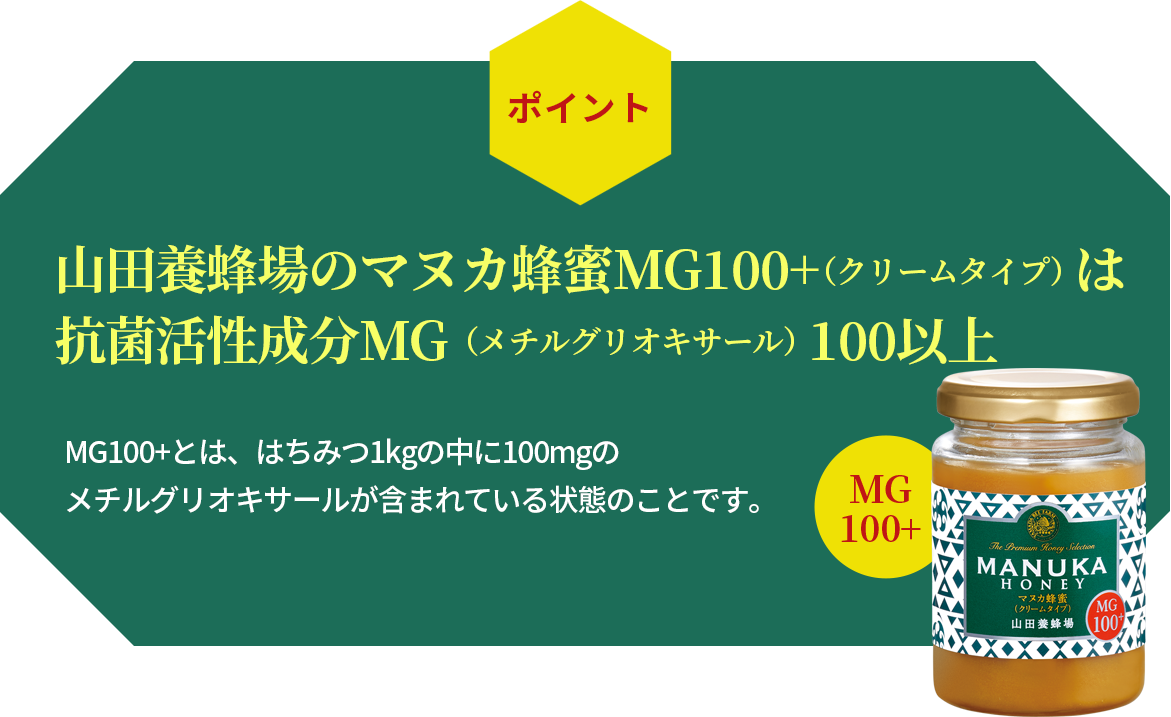 Rc{Ĩ}kJI MG100+iN[^Cvj͍Rۊ MGi`OILT[j100ȏ