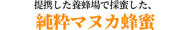 g{Iō̖A}kJI