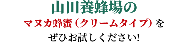 Rc{Ĩ}kJIiN[^CvjЂ!