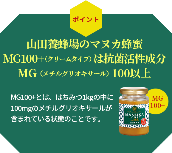 Rc{Ĩ}kJI MG100+iN[^Cvj͍Rۊ MGi`OILT[j100ȏ