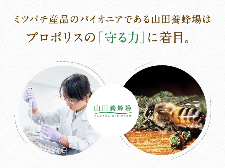 ~co`YĩpCIjAłRc{I̓v|X́úvɒځB