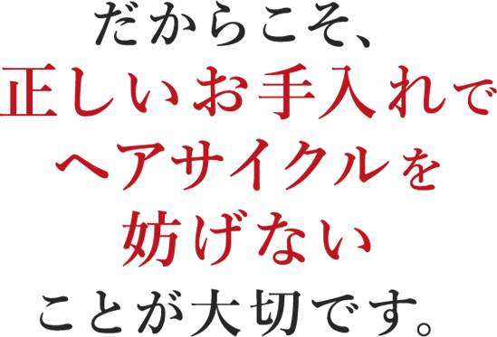炱AŃwATCNWȂƂ؂łB