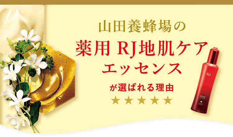 Rc{I̖p RJnPA GbZXI΂闝R