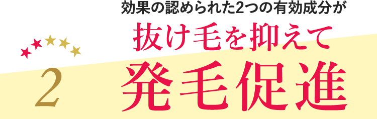 2 ʂ̔F߂ꂽ2̗Lт}Ĕёi