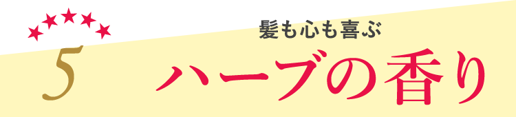 5 S n[u̍