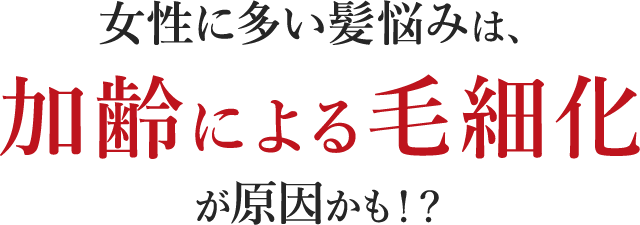 ɑÝ݂Aɂэ׉IH