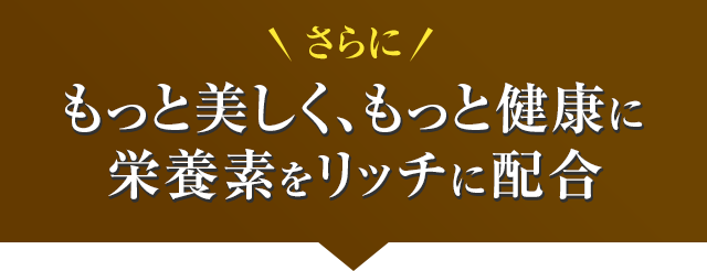! ƔAƌNɉh{fb`ɔz