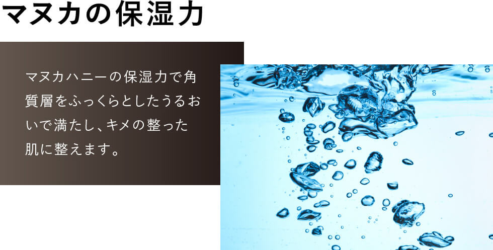 繝槭レ繧ォ縺ョ菫晄ケソ蜉?