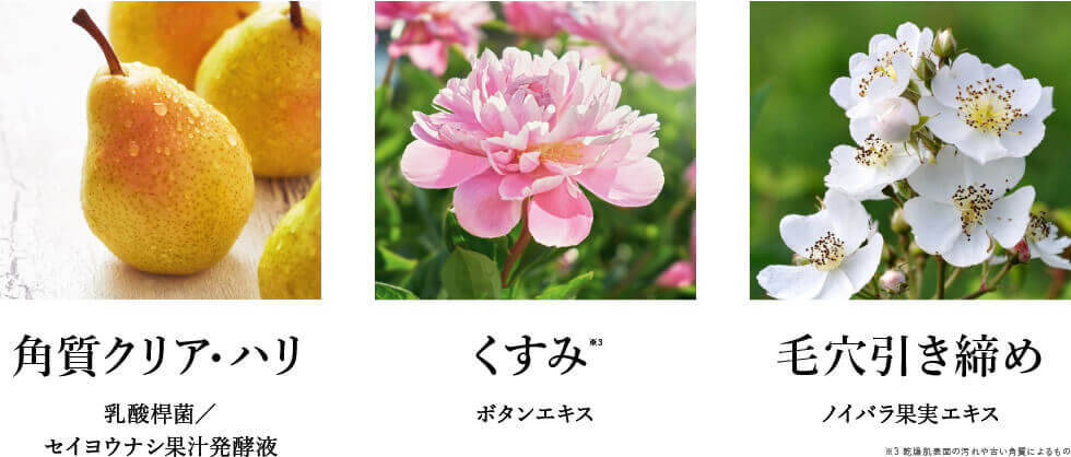 隗定ウェ繧ッ繝ェ繧「繝サ繝上Μ 縺上☆縺ソ 豈帷ゥエ蠑輔″邱?繧?