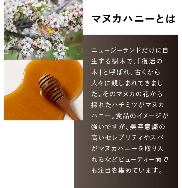 マヌカハニーとは