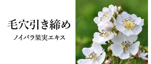 毛穴引き�?�?