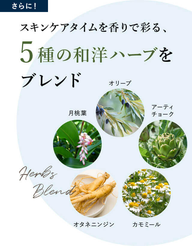 さらに?��スキンケアタイ�?を香りで彩る�?5種の和洋ハーブをブレン�?