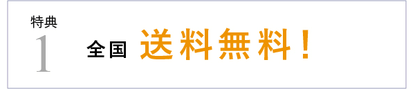 特典1 全国 送料無料�?