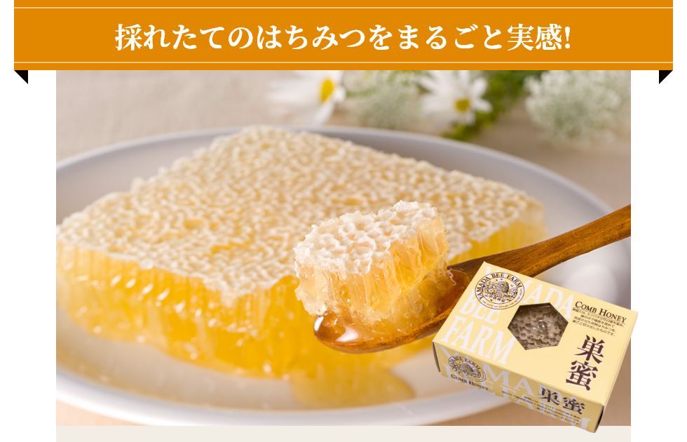 ̂ꂽĂ݂̂͂܂邲Ǝ!