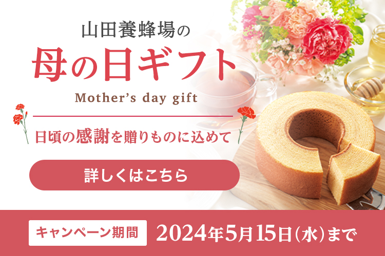 Rc{I̓̕Mtg Mother's day gift ̊ӂ𑡂̂ɍ߂ ڂ͂ Ly[ 2024N515()܂
