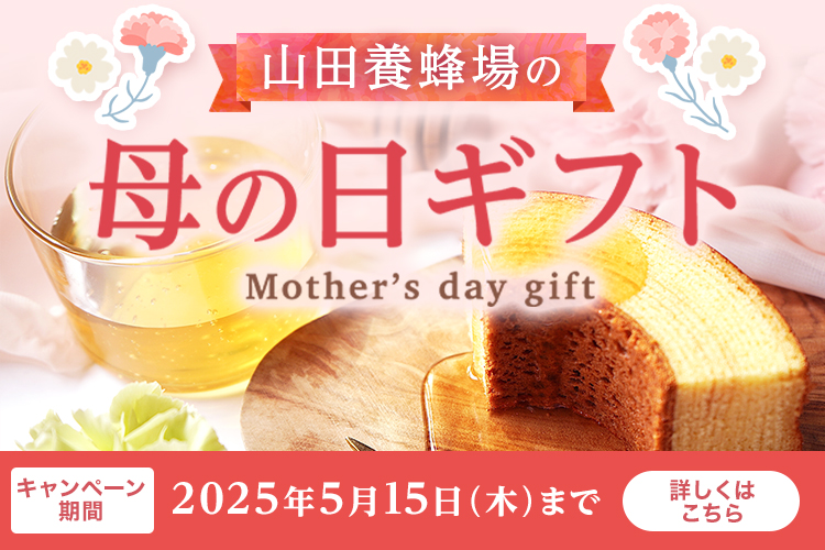 Rc{I̓̕Mtg Mother's day gift Ly[ 2025N515()܂ ڂ͂