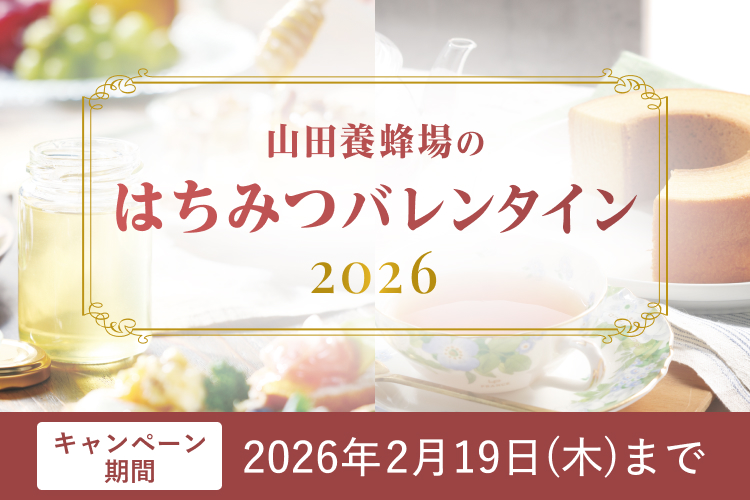 �R�c�{�I��̂͂��݂o�����^�C��2026 �L�����y�[������ 2026�N2��19��(��)�܂�