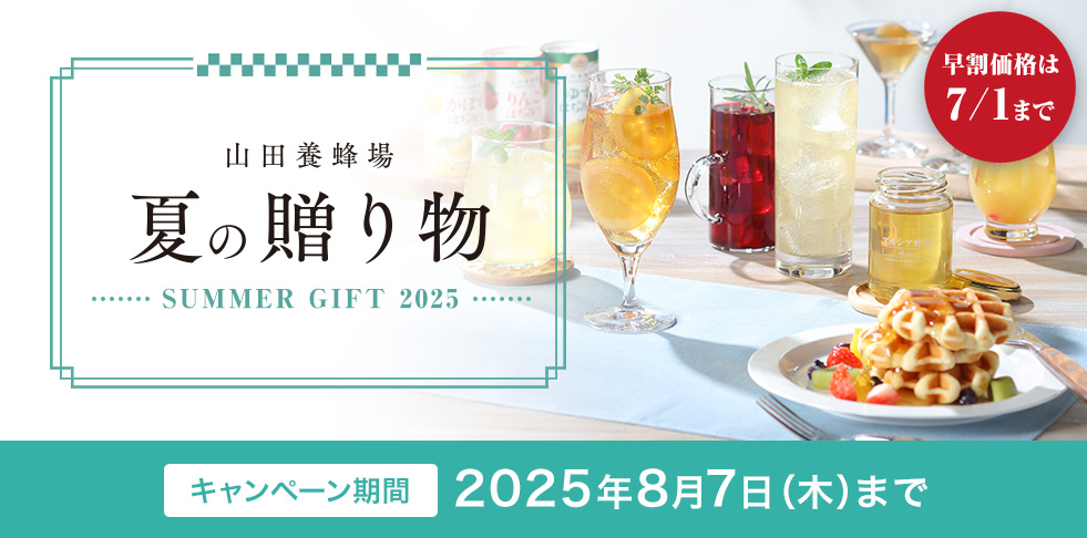 Rc{I Ă̑蕨 SUMMER GIFT 2025 i 7/1 ܂ Ly[ 2025N87()܂