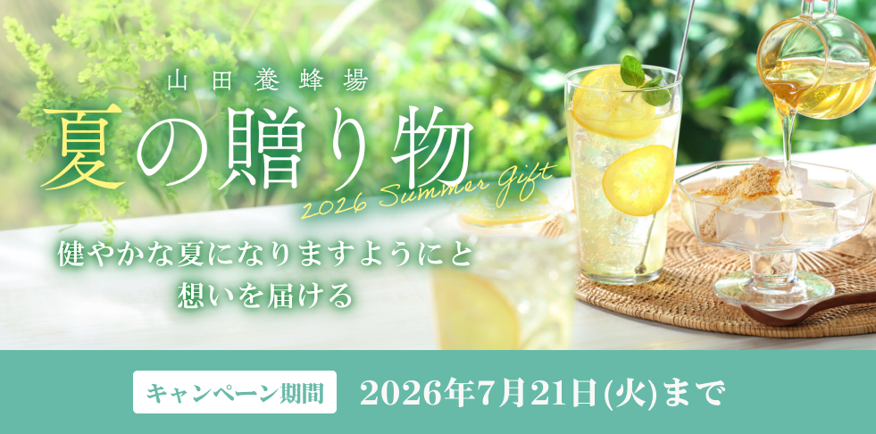 �R�c�{�I�� �Ă̑��蕨 ���₩�ȉĂɂȂ�܂��悤�ɂƑz����͂��� �L�����y�[������2026�N7��21��(��)�܂�