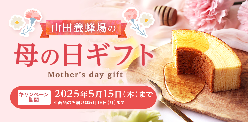Rc{I̓̕Mtg Mother's day gift Ly[ 2025N515()܂ î͂519()܂