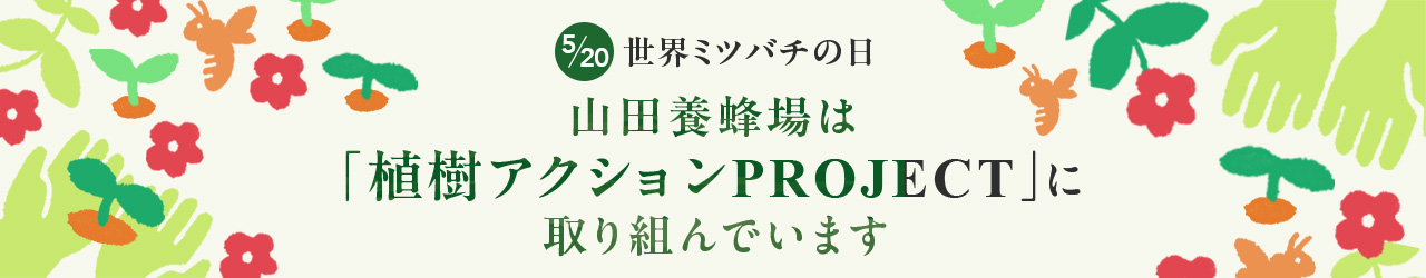 E~co`̓
