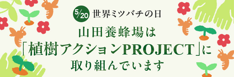 E~co`̓