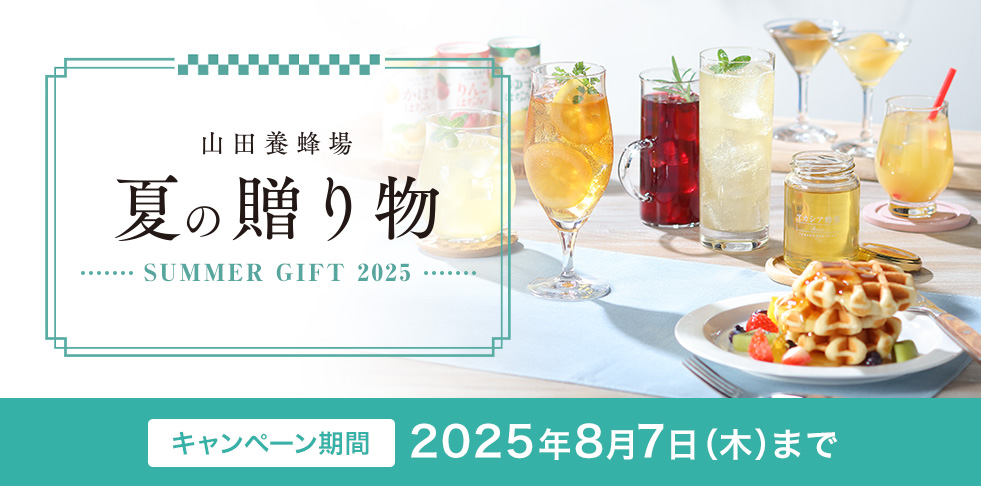 Rc{I Ă̑蕨 SUMMER GIFT 2025 Ly[ 2025N87()܂