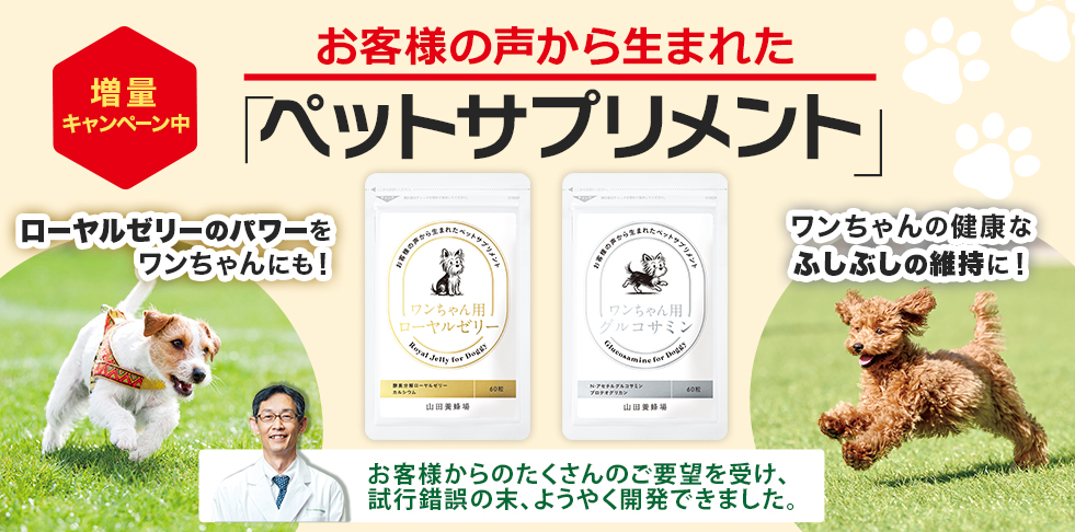 ���� �L�����y�[���� ���q�l�̐����琶�܂ꂽ�u�y�b�g�T�v�������g�v���[�����[���[�̃p���[�����������ɂ��I ���������̌��N�Ȃӂ��Ԃ��̈ێ��ɁI ���q�l����̂�������̂��v�]���󂯁A���s����̖��A�悤�₭�J���ł��܂����B