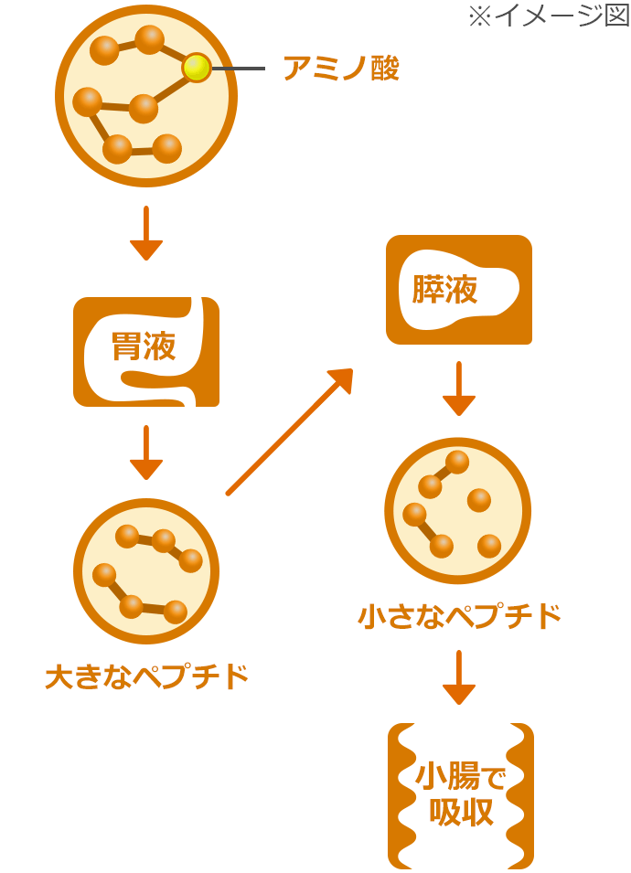 栄養の宝庫ローヤルゼリー 健康食品の通販 販売 山田養蜂場