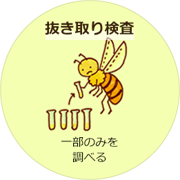 抜き取り検査 一部のみを調べる