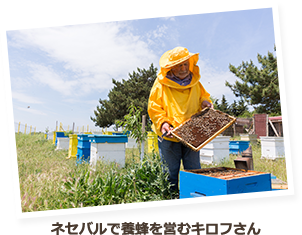 ネセバルで養蜂を営むキロフさん