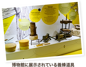 博物館に展示されている養蜂道具