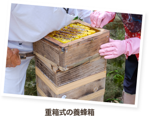 重箱式の養蜂箱