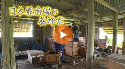 日本最南端の養蜂家 篇