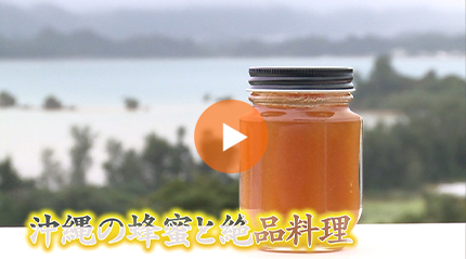 沖縄の蜂蜜と絶品料理 篇