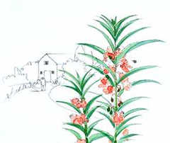 Picture01