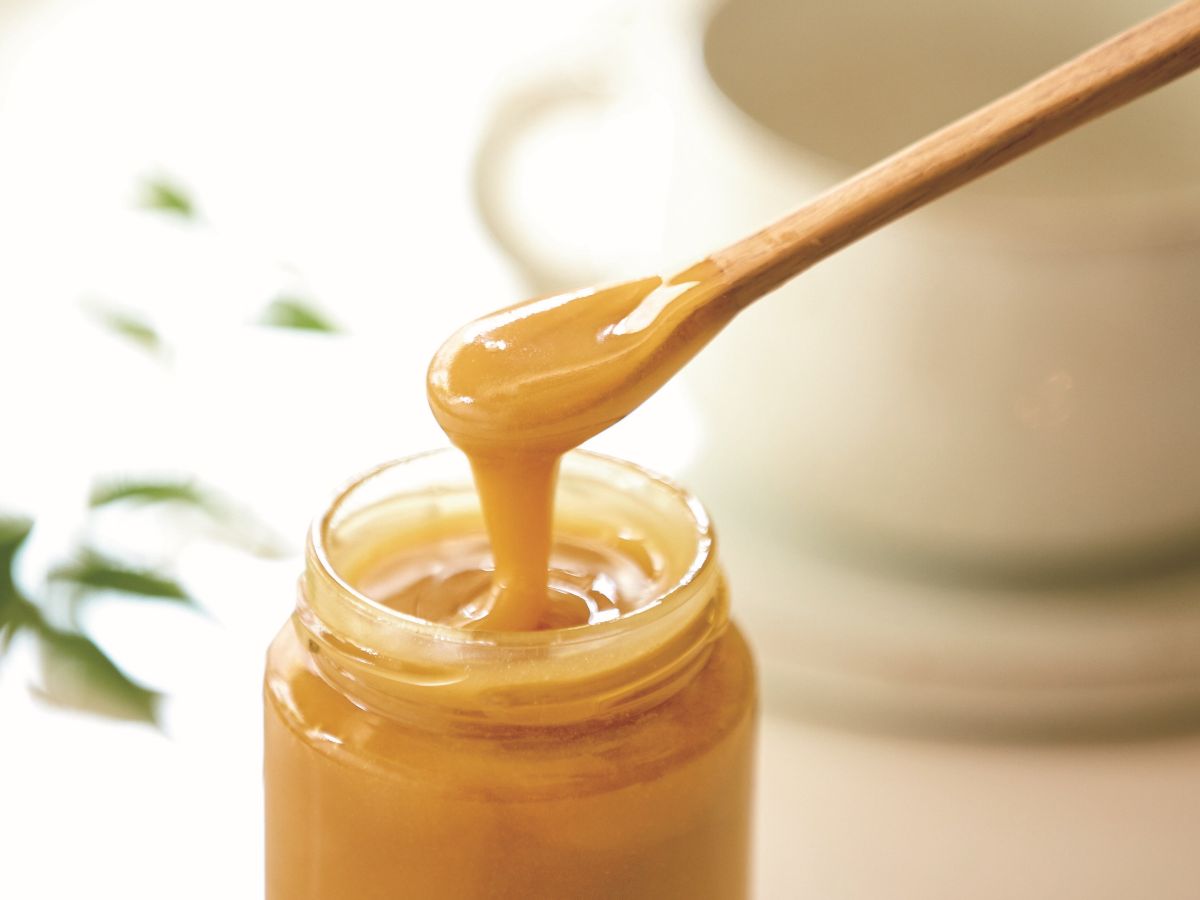 �͂��݂ɏܖ������͂���H���������闝�R��A�ۑ����@�܂ŉ��