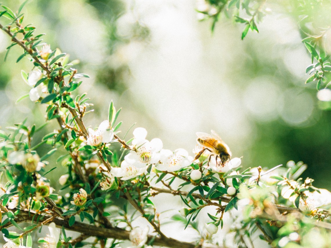 �}�k�J�n�j�[