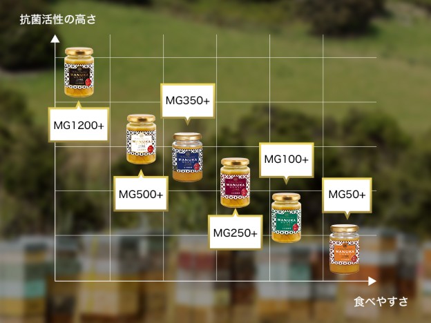 �������߂�MG�l