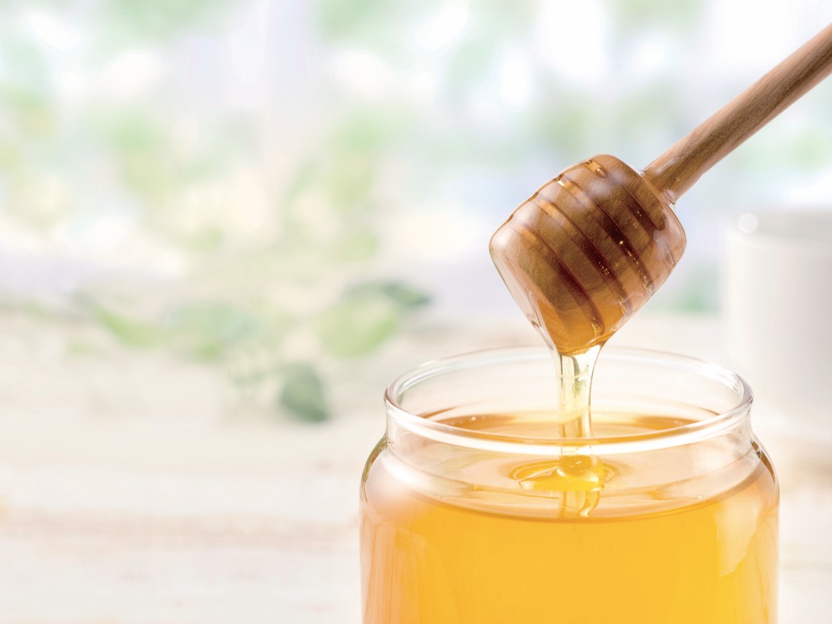 �͂��݂̌��ʂƂ́H�h�{�����₨�����߂̎g�����A���ӓ_���Љ�