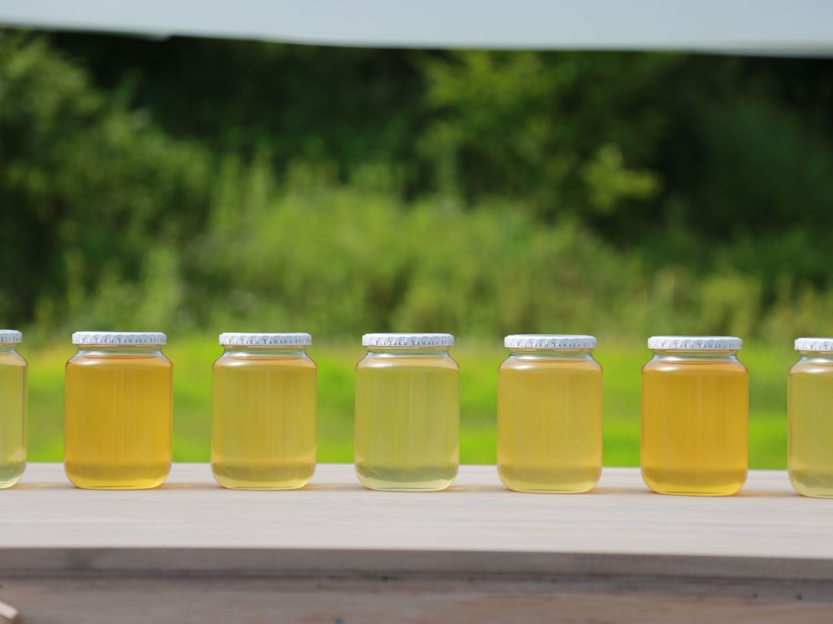 �����ɂ�閡�⍁��